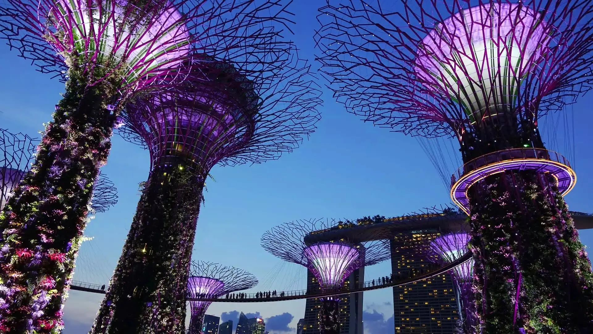 Singapore Tour